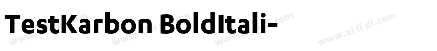 TestKarbon BoldItali字体转换 TestKarbon BoldItali字体转换